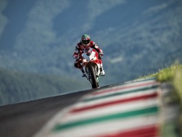 全球正品查询防伪官网