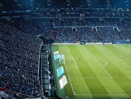 pp体育官网下载